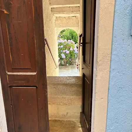 La Celestina
